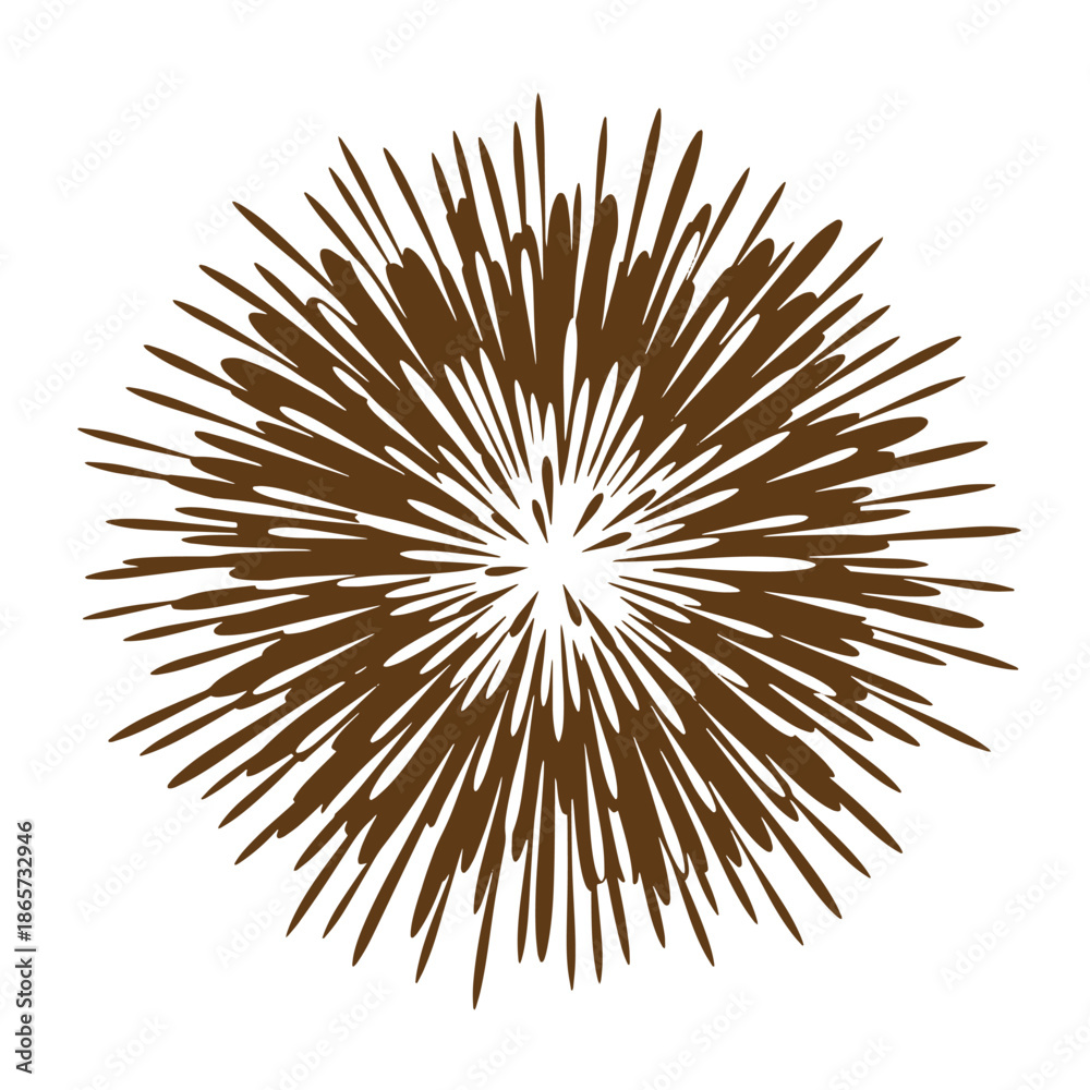 Obraz premium Vintage Brown radial burst design element with sharp lines radiating from center abstract graphic illustration