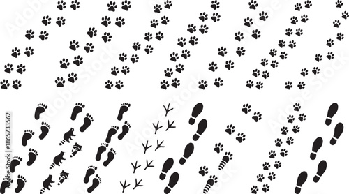 
Set of Black Animal Paw, Human Barefoot, Bird, and Shoe Footprint Trail Silhouettes