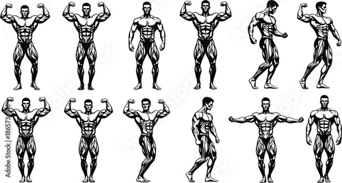 Silhouettes of muscular male bodybuilders posing in classic stances, showcasing strength, fitness, anatomy, and professional bodybuilding competition techniques
