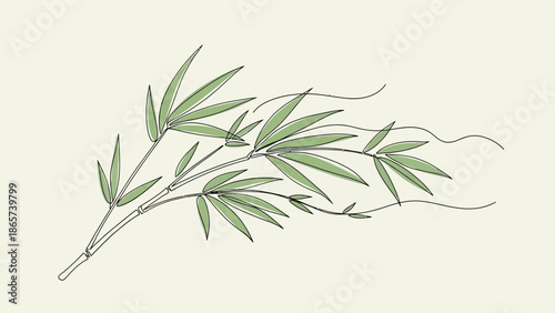 bamboo leaves branch green
