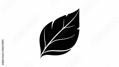 Elegant black leaf silhouette on a clean white background, symbolizing nature and simplicity.
