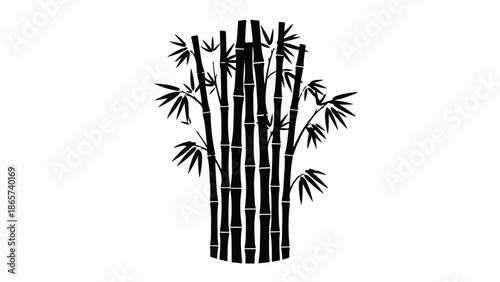 Elegant silhouette of bamboo stalks with delicate leaves against a clean white background