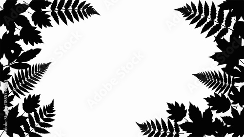 Elegant black silhouette frame of lush green forest ferns and leaves on a bright white background.