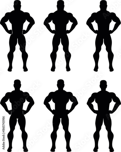 A detailed vector illustration of a muscular physique possibly a bodybuilder