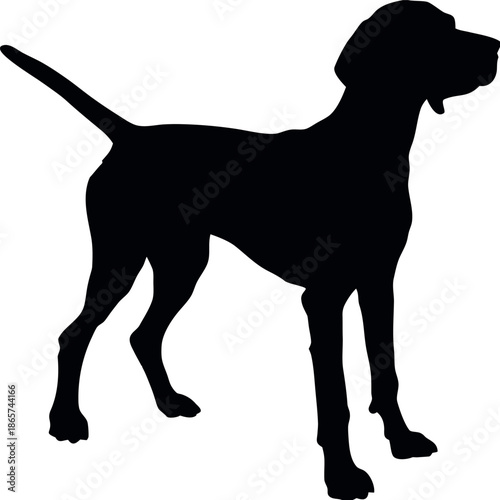 Dog Detailed vector graphic file Illustrator design