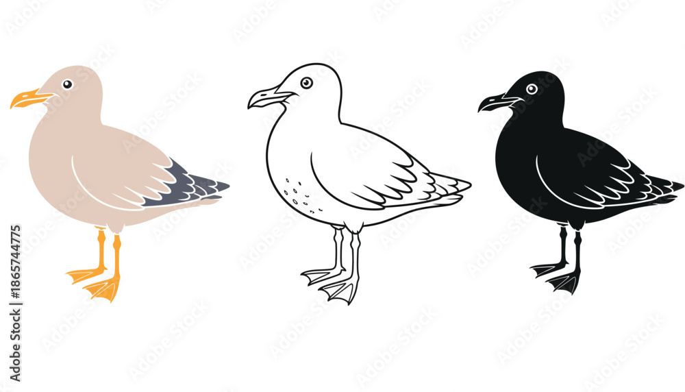 Fototapeta premium Three seagulls in different colors and line art styles silhouette