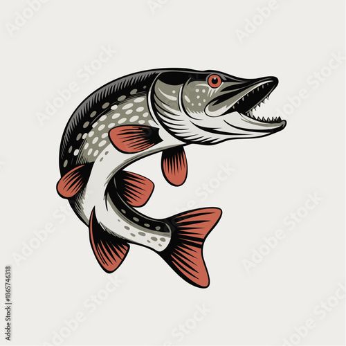 Illustration of a dynamic jumping pike fish.