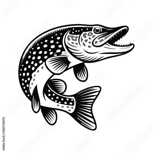 Illustration of a dynamic leaping pike fish.