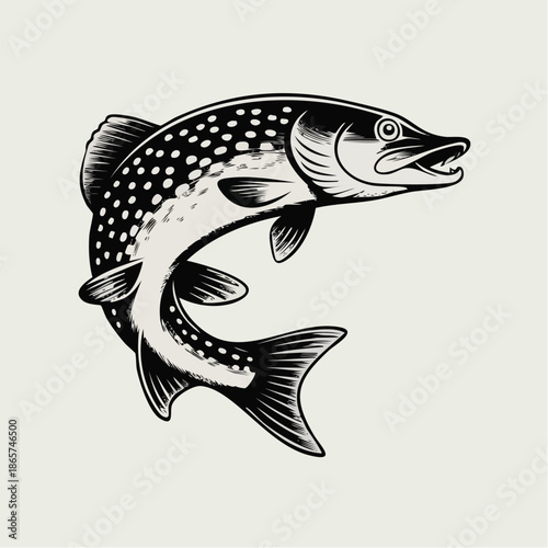 Illustrative trout in dynamic jumping pose.