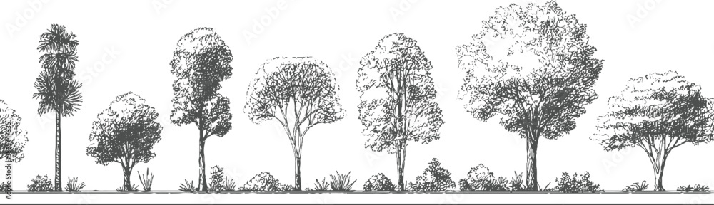 Fototapeta premium Hand drawn of diverse trees and bushes in a row nature plant foliage leaf