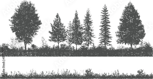 Silhouette forest landscape with various trees and dense undergrowth nature