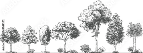 Collection of diverse trees and shrubs in a line style on a white background plant