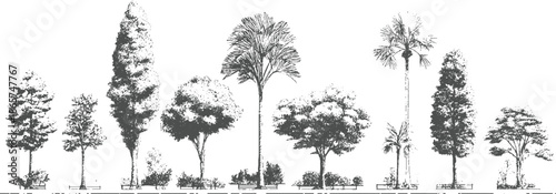 Collection of diverse trees and palm trees rendered in a detailed sketchy style nature plant foliage