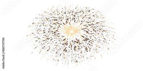 Yellow dandelion flower seeds isolated on white background, bringing the plant and nature of summer and design elements