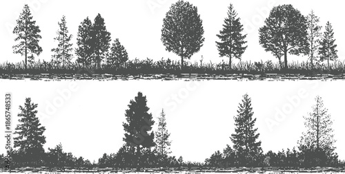 Silhouette forest landscape with pine and deciduous trees and grass