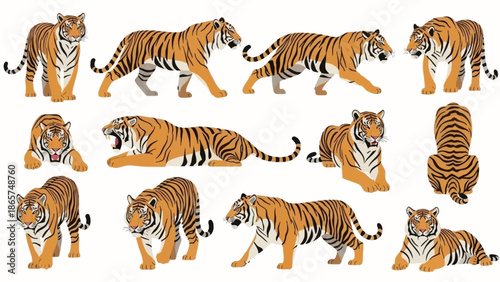 Majestic Bengal Tiger Vector Illustration Set Featuring Multiple Poses Including Walking, Lying Down, and Roaring Isolated on a Clean White Background Plate.