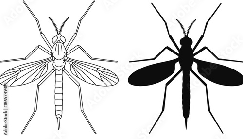 A detailed illustration of a mosquito in both line art and silhouette mode