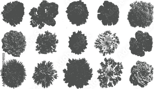 Fifteen dark grey view silhouettes of various trees on a white background overhead