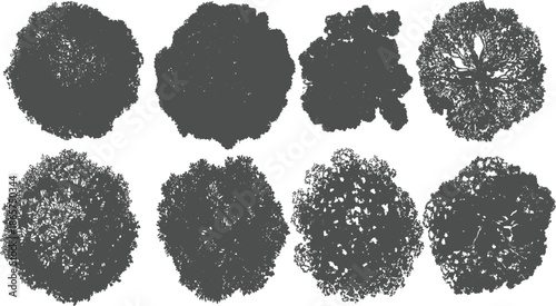 Eight dark grey silhouettes of tree canopies viewed from above on a white background canopy aerial
