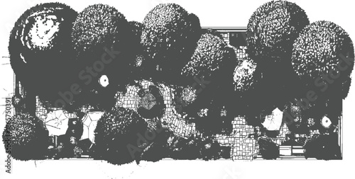 Down view of a garden with trees bushes and paved pathways aerial overhead