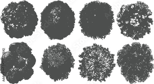 Eight dark grey abstract tree canopy silhouettes viewed from above on white background