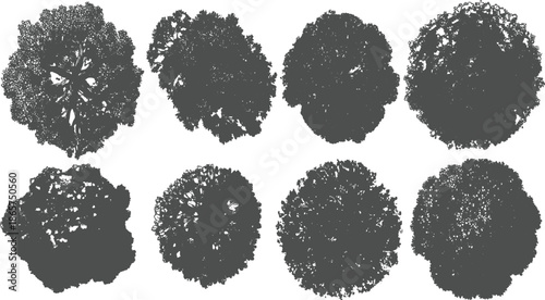 Eight dark grey abstract fractal tree silhouettes on white background view