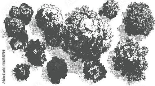 Down view of various trees with textured foliage and trunks in a style overhead aerial