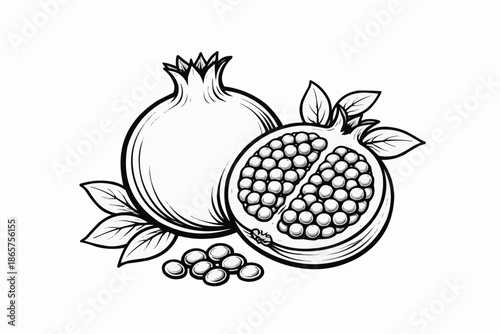 Simple black and white outline of a single pomegranate fruit illustration