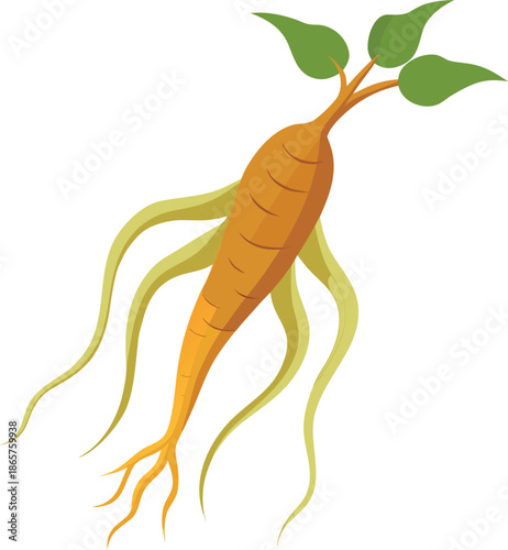 Illustration of a mature wild ginseng root vegetable showing its distinctive thick taproot structure and several dangling fibrous secondary roots with a few small green leaves sprouting from the top 