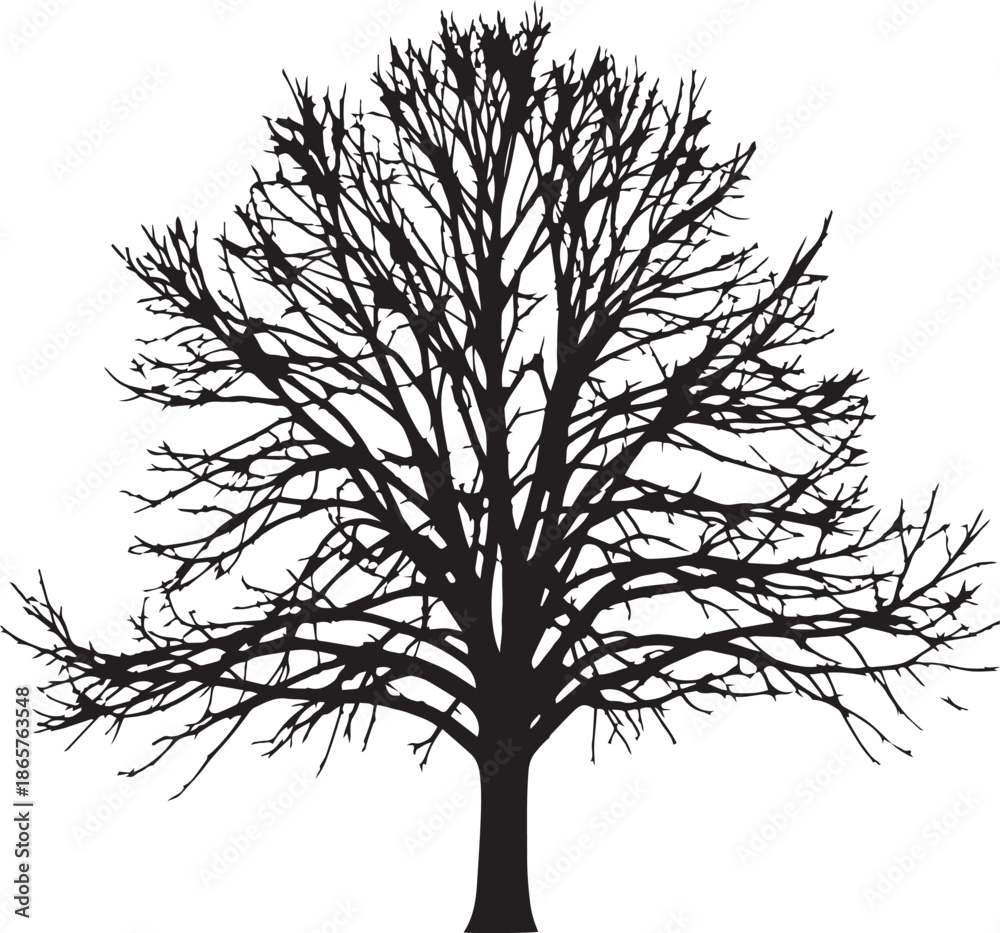 Obraz premium Dead Tree Silhouette Vector - Winter Bare Tree Branch Illustration Collection