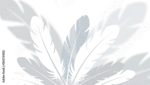 Abstract white and gray feathers fanned out on a bright white background