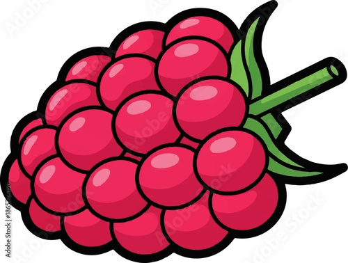 A vibrant cartoon illustration of a ripe raspberry with green leaves and a stem