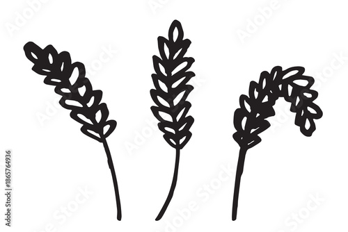 Set of hand drawn cereal wheat oat rye barley rice ears spikelet clipart Organic wheat bread agriculture farming harvest healthy food Single element for design print packaging label decor