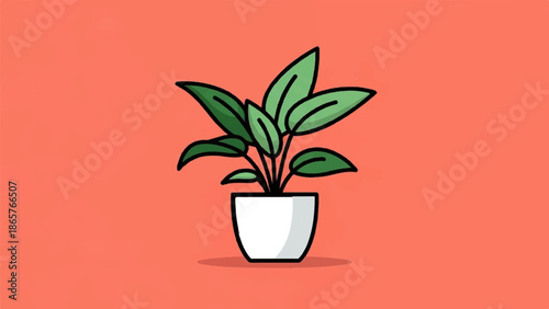 A green houseplant with large leaves in a white pot against a coral background
