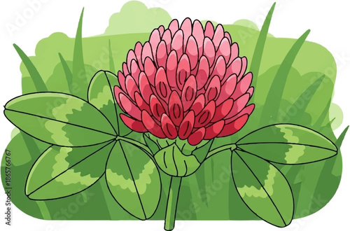 A bright red clover flower with green leaves and grass
