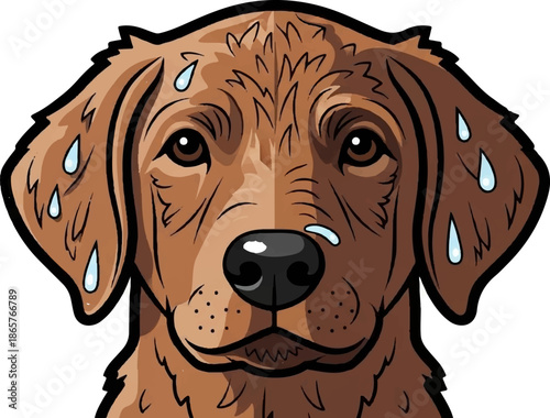 A brown dog's face is depicted, with sweat droplets on its forehead and ears