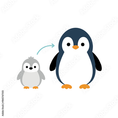 Two Penguins One Small Baby Penguin Next to Large Adult Penguin White Background