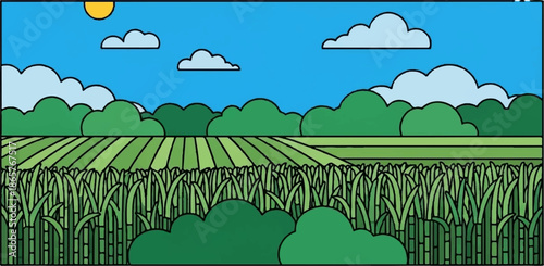 Sunny day over a cultivated field and a lush sugarcane plantation