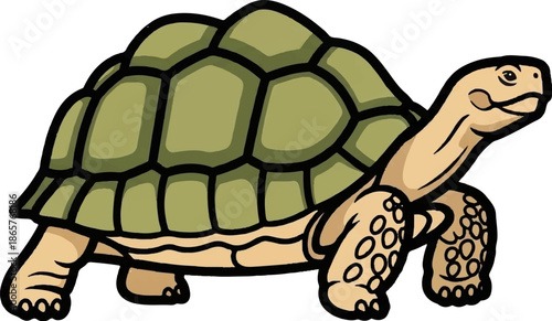 A cartoon drawing of a turtle with a green shell and tan skin, walking