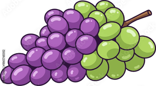 A cluster of purple and green grapes, with a short brown stem