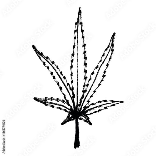 Hand drawn cannabis leaf Medicine marijuana Hemp leaves clipart in doodle style Single element for print, web, design, decor
