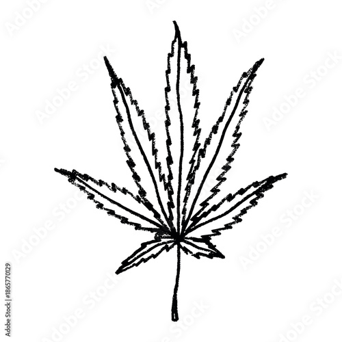 Hand drawn cannabis leaf Medicine marijuana Hemp leaves clipart in doodle style Single element for print, web, design, decor