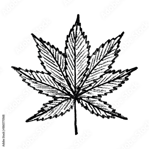 Hand drawn cannabis leaf Medicine marijuana Hemp leaves clipart in doodle style Single element for print, web, design, decor