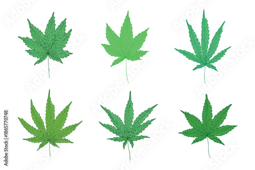 Set of hand drawn cannabis leaf Medicine marijuana Hemp leaves clipart in doodle style Single element for print, web, design, decor