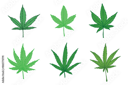 Set of hand drawn cannabis leaf Medicine marijuana Hemp leaves clipart in doodle style Single element for print, web, design, decor
