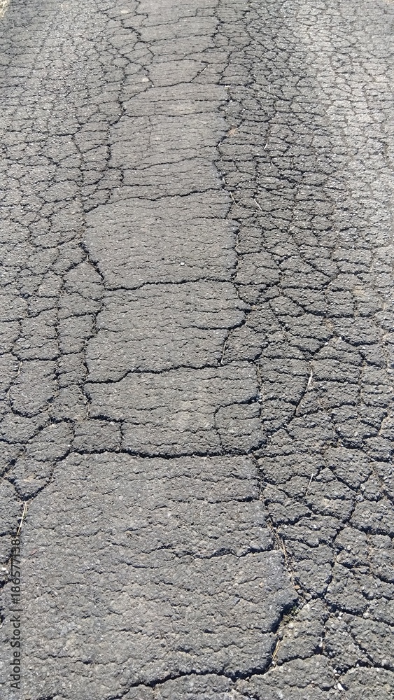 custom made wallpaper toronto digital冬の西日の当たるひび割れた古い農道