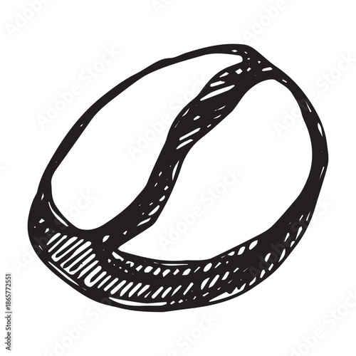 Hand drawn fresh roasted coffee bean Arabica robusta seed doodle Single element for print, web, design, decor