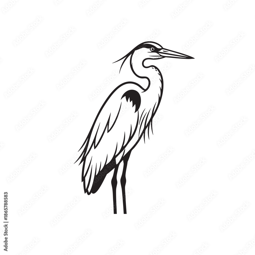 Fototapeta premium Elegant Heron Illustration with Detailed Line Work