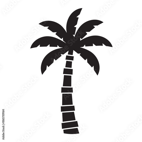 Stylized palm tree silhouette on transparent background