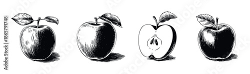 Engraved style fruit illustrations of whole and cut apples providing a natural and fresh graphic resource for packaging, culinary blogs, and market signage.